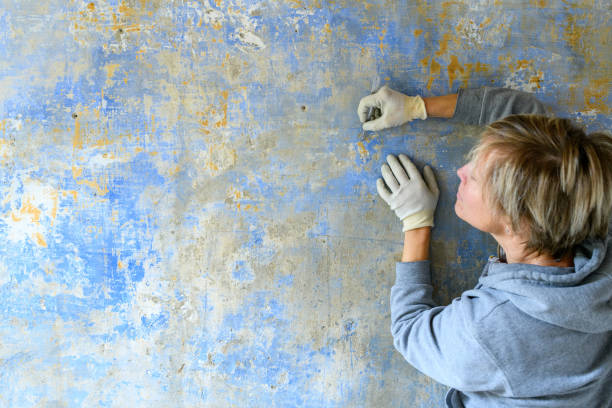 Wall Painting in Dubai