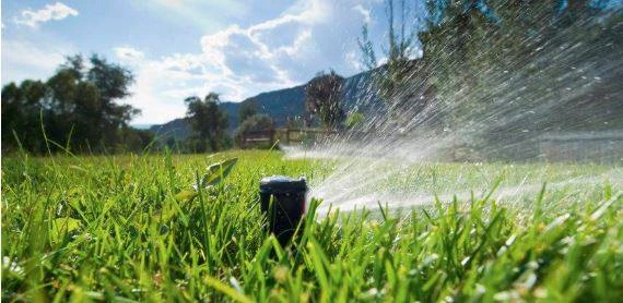 Garden Irrigation landscaping In Dubai