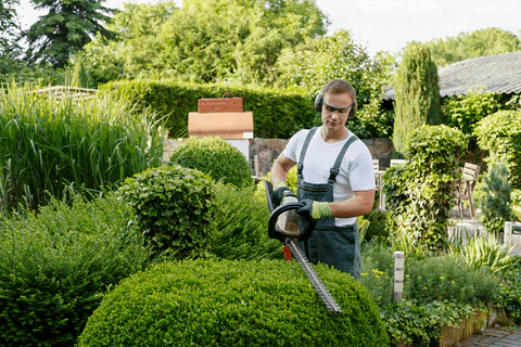 Garden Maintenance landscaping In Dubai