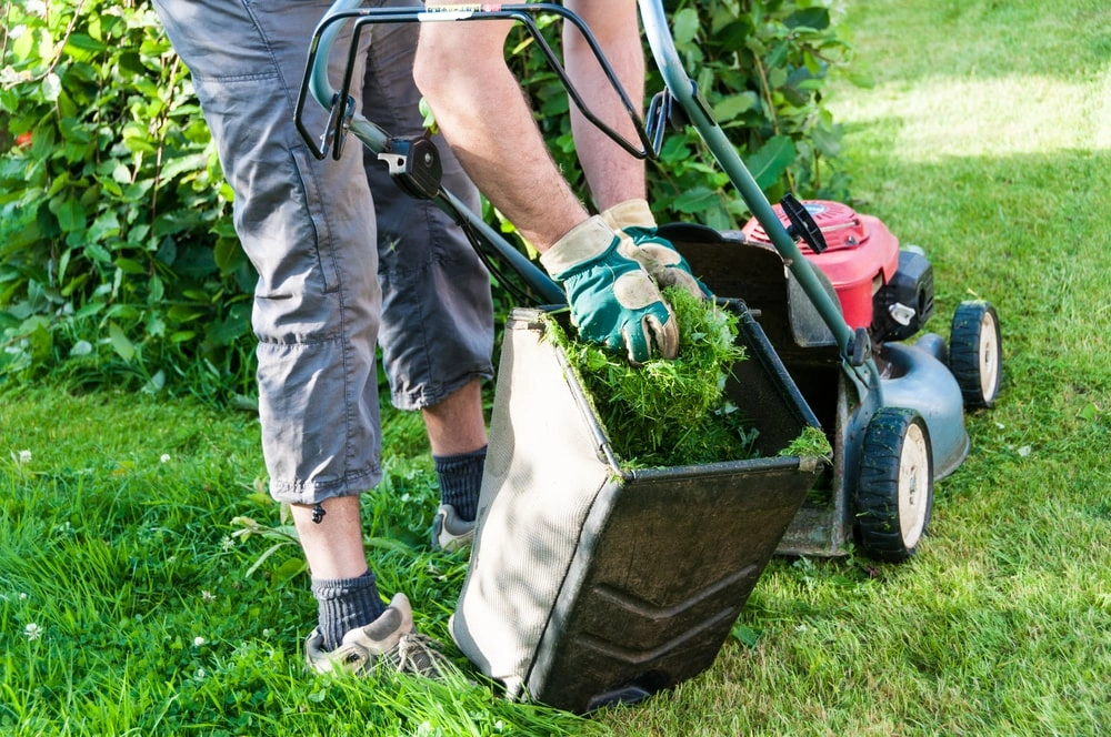 Garden Maintenance landscaping In Dubai