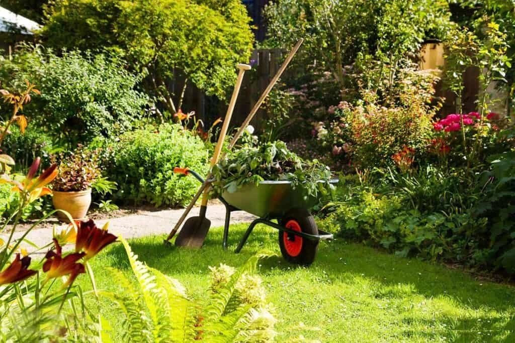 Garden Maintenance landscaping In Dubai