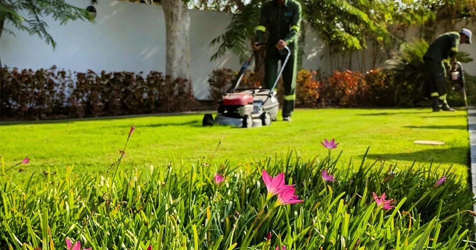 Garden Maintenance landscaping In Dubai