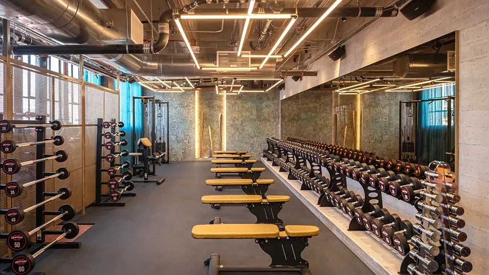 Gym Renovation In Dubai