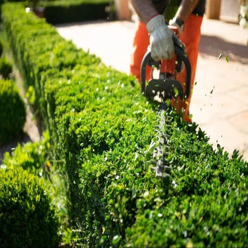 Garden Maintenance landscaping In Dubai