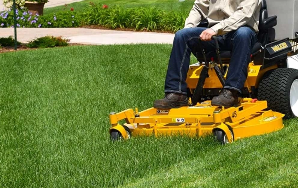 Garden Maintenance landscaping In Dubai