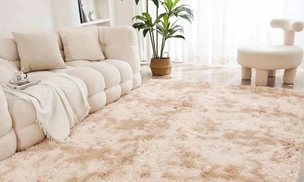 Color Carpets In Dubai