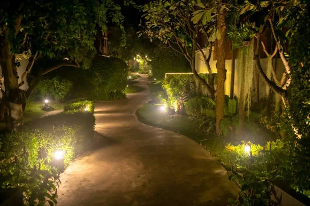 Outdoor Planting and Lighting Dubai