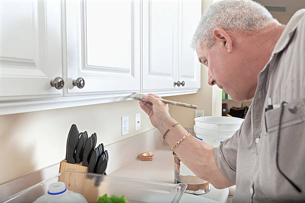 kitchen painting in Dubai