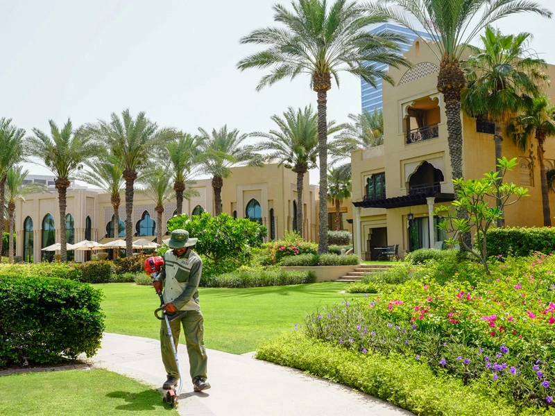 Garden Maintenance landscaping In Dubai