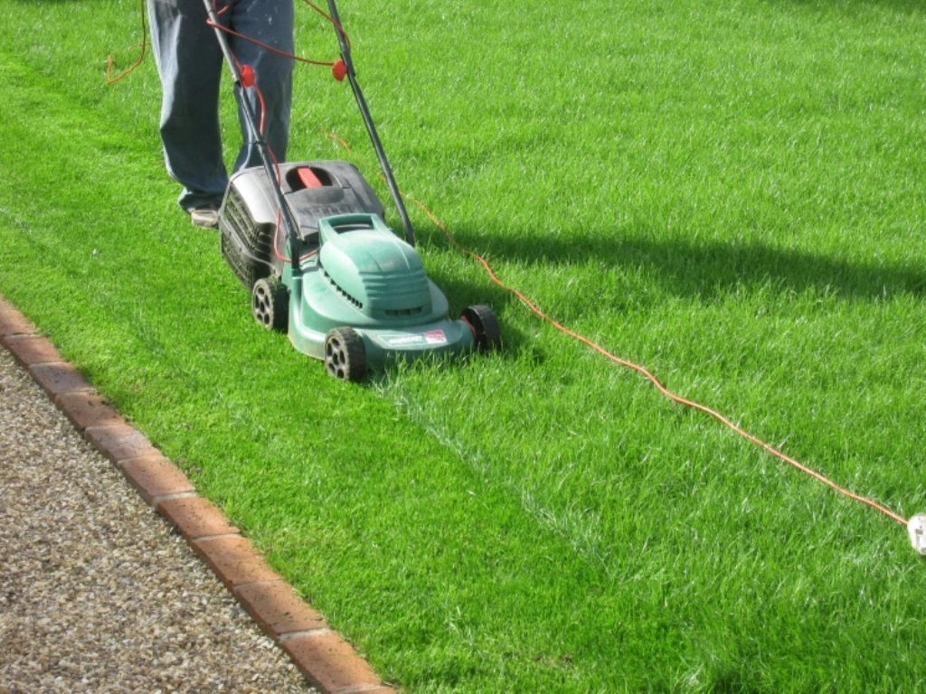 Garden Maintenance landscaping In Dubai