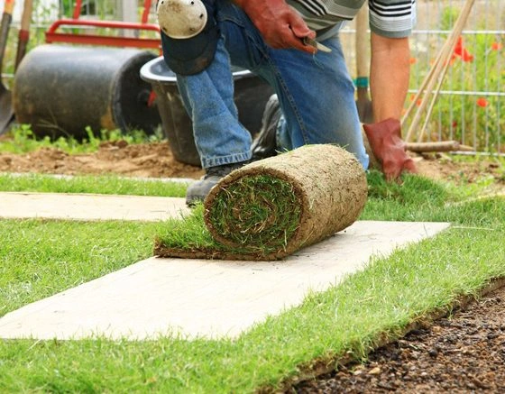 Garden Maintenance landscaping In Dubai