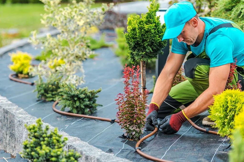 Garden Maintenance landscaping In Dubai