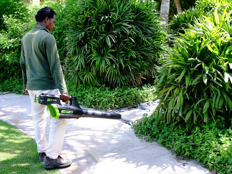 Garden Maintenance landscaping In Dubai